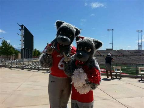 The New Mexico Lobos Mascot: An Iconic Representation of Spirit and Strength